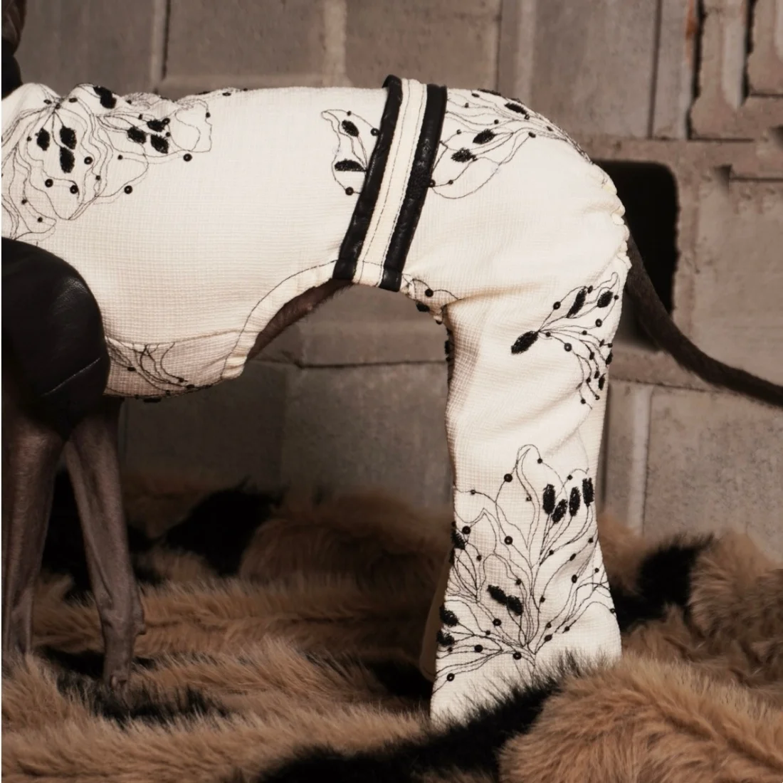 Mono beige floral para perro Galgo Italiano y Whippet con cuero negro - imagen 2