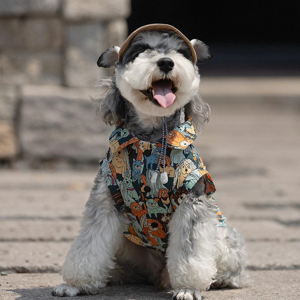 Conjunto veraniego para perros ABQP