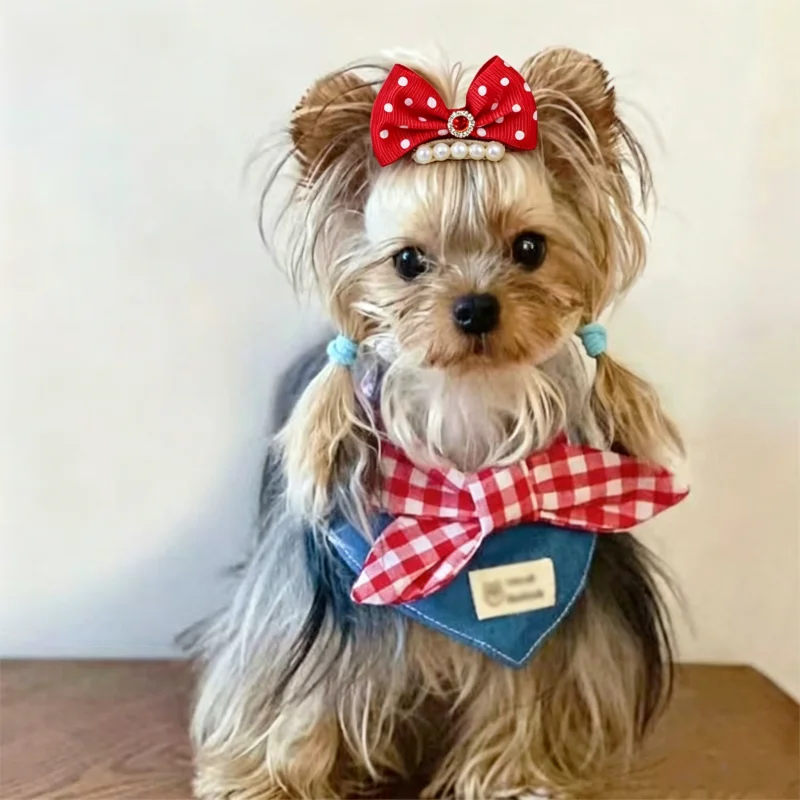 Pañuelo de lujo para perro y lazo a cuadros, set para mascotas