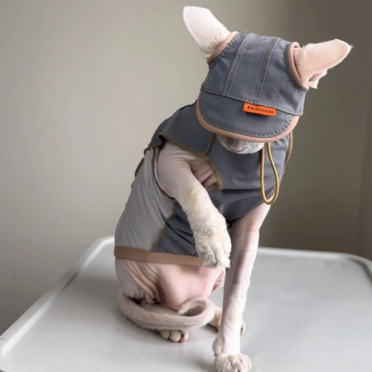 Chaleco de algodón gris para gatos sin pelo, protección solar - imagen 3