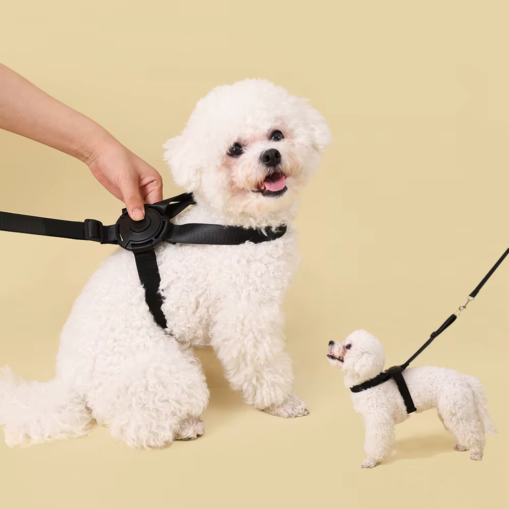 Arnés antiescape con correa para perro pequeño y gato mediano - imagen 3