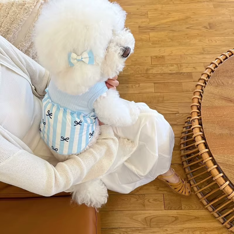 Ropa refrescante para perro: vestido con lazo, Chihuahua y Bichón - imagen 3