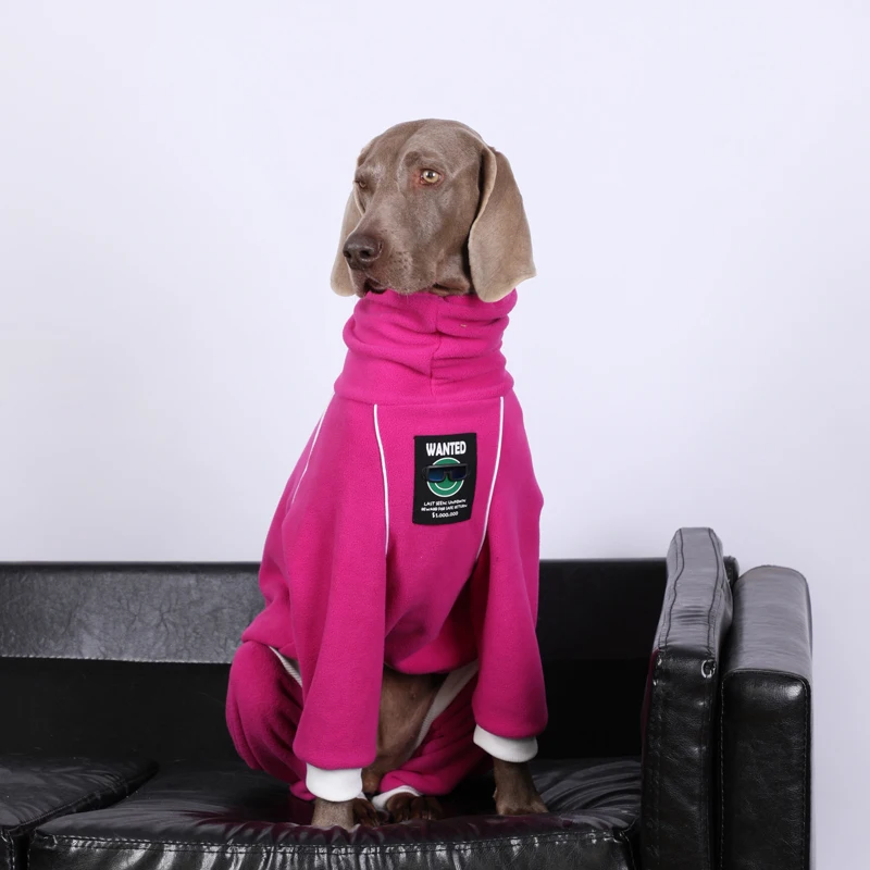 Detalle de la chaqueta para perro grande