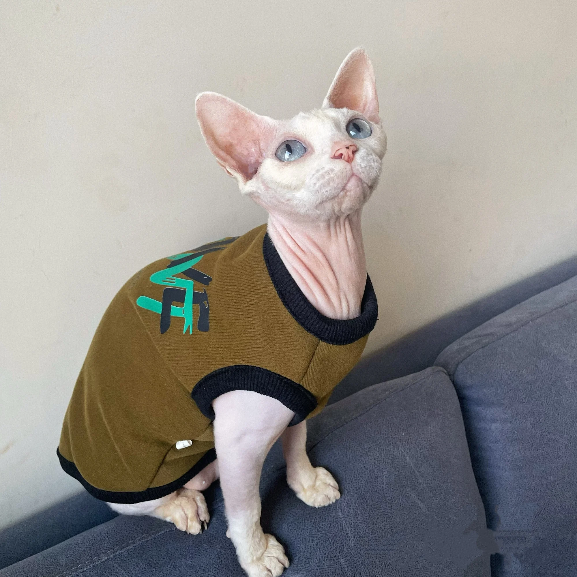 Gato Sphynx con sudadera naranja detalle lateral