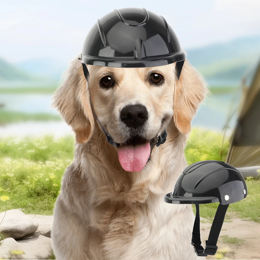 Casco ajustable para gatos en uso diario