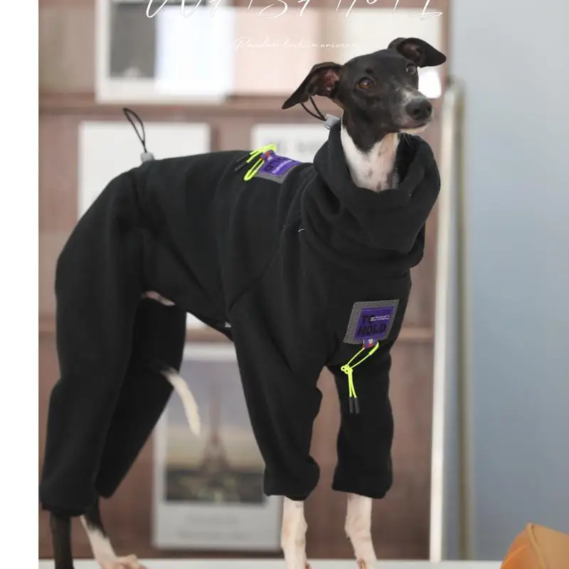 Ropa puesta en un Whippet en parque urbano