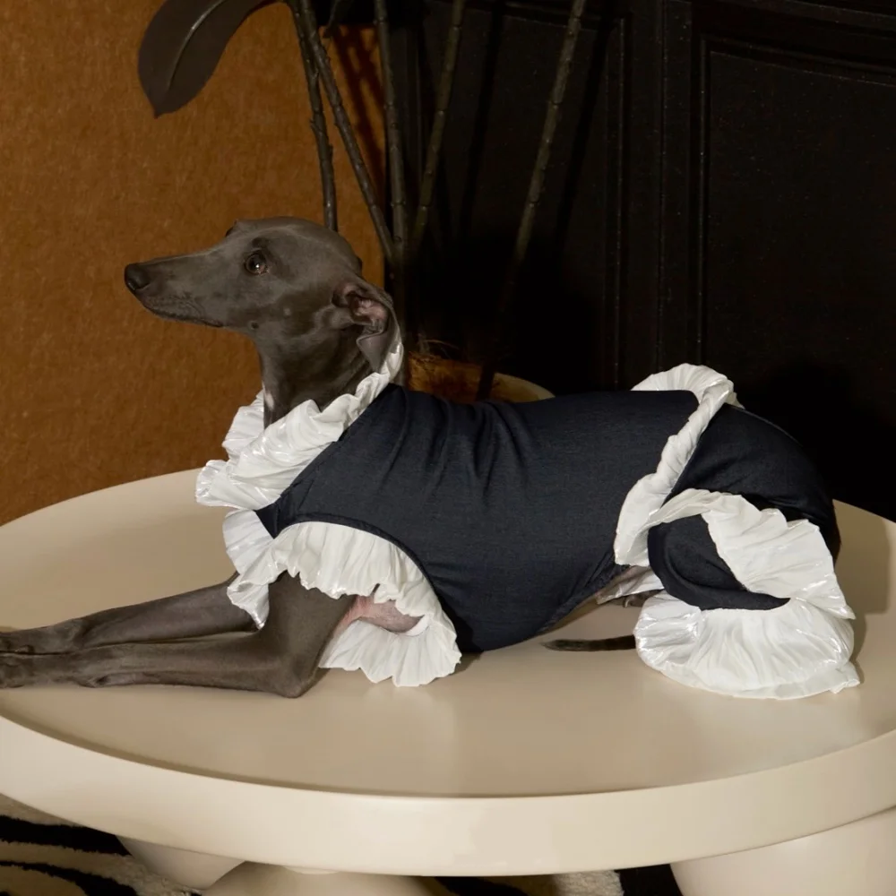 Vestido de fiesta de verano elegante para Galgo Italiano y Whippet - imagen 4