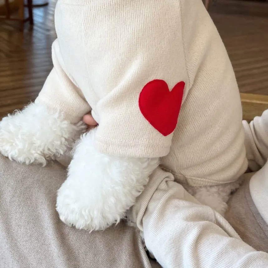 Perro usando suéter teddy en paseo invernal