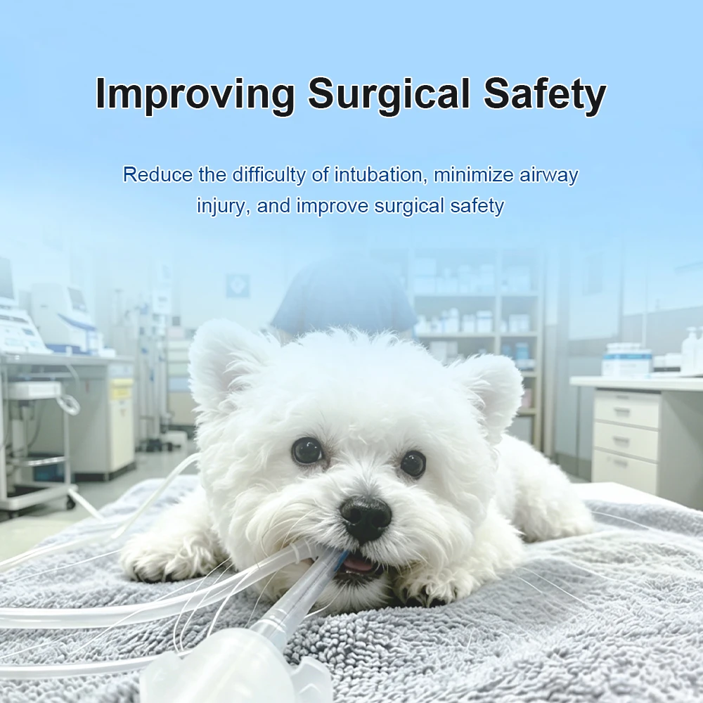 Kit de intubación endotraqueal desechable para gatos y perros - imagen 3