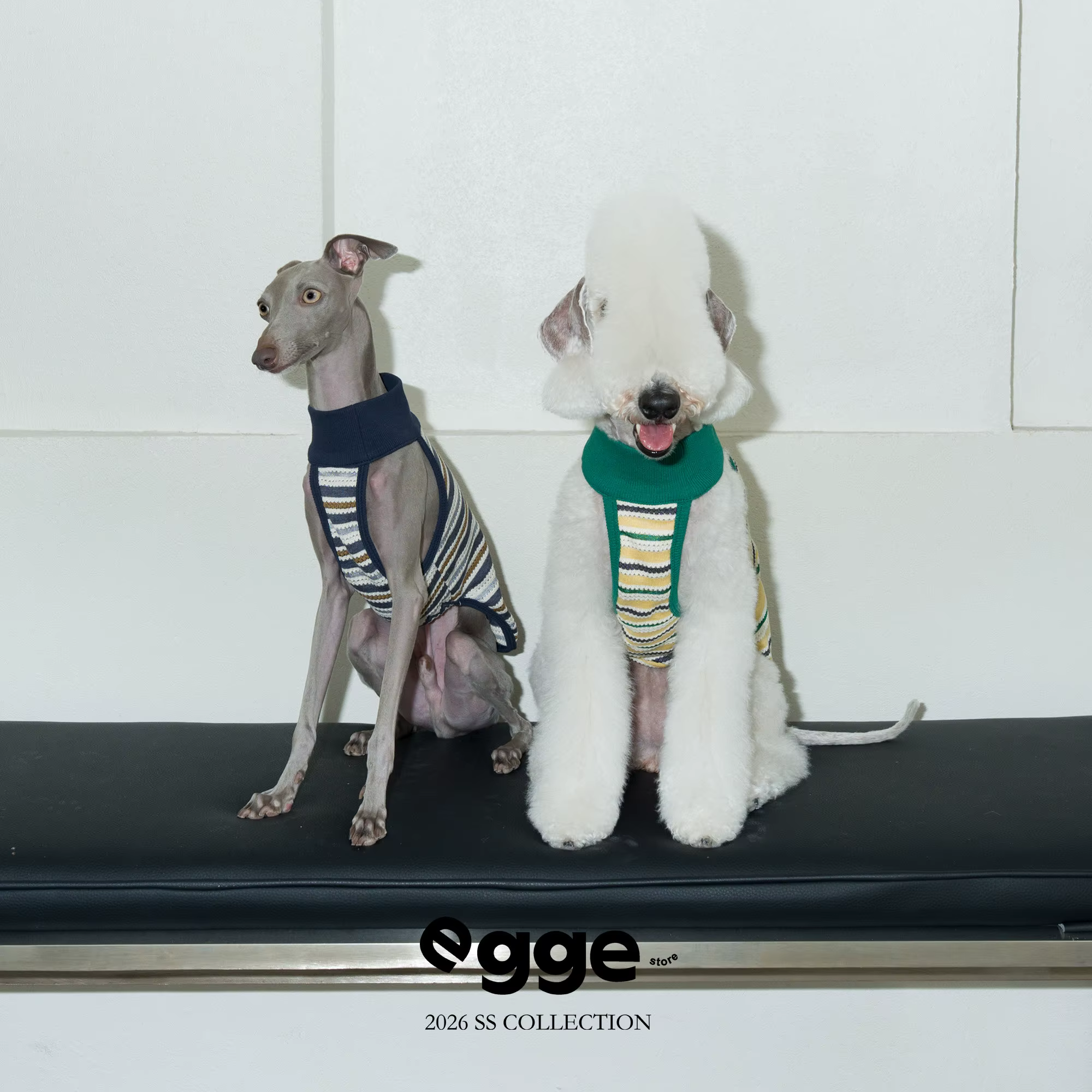 Chaleco punto calado sin mangas para Whippet y Galgo Italiano - imagen 4