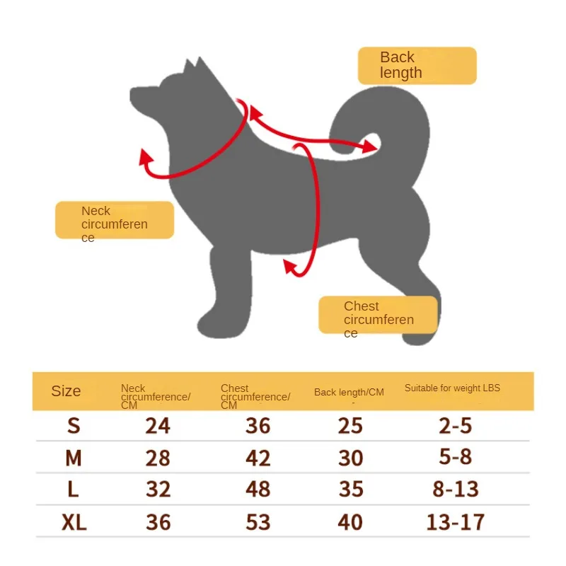 Perro modelo con sudadera gris y capucha