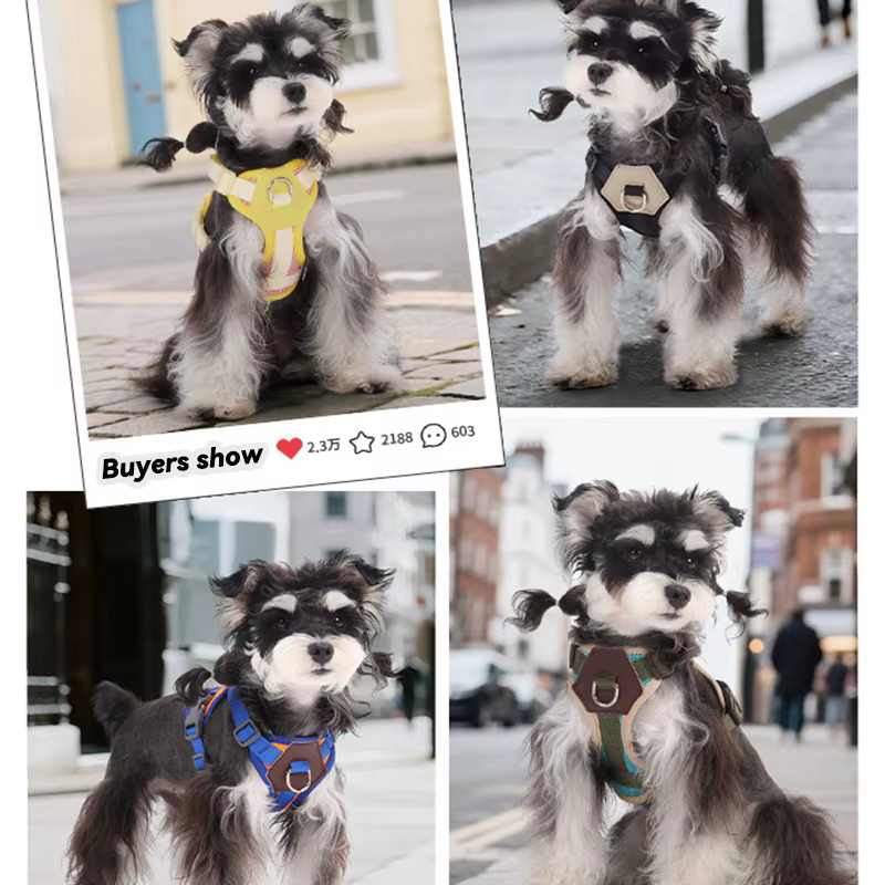 Conjunto completo arnés y correa para mascotas