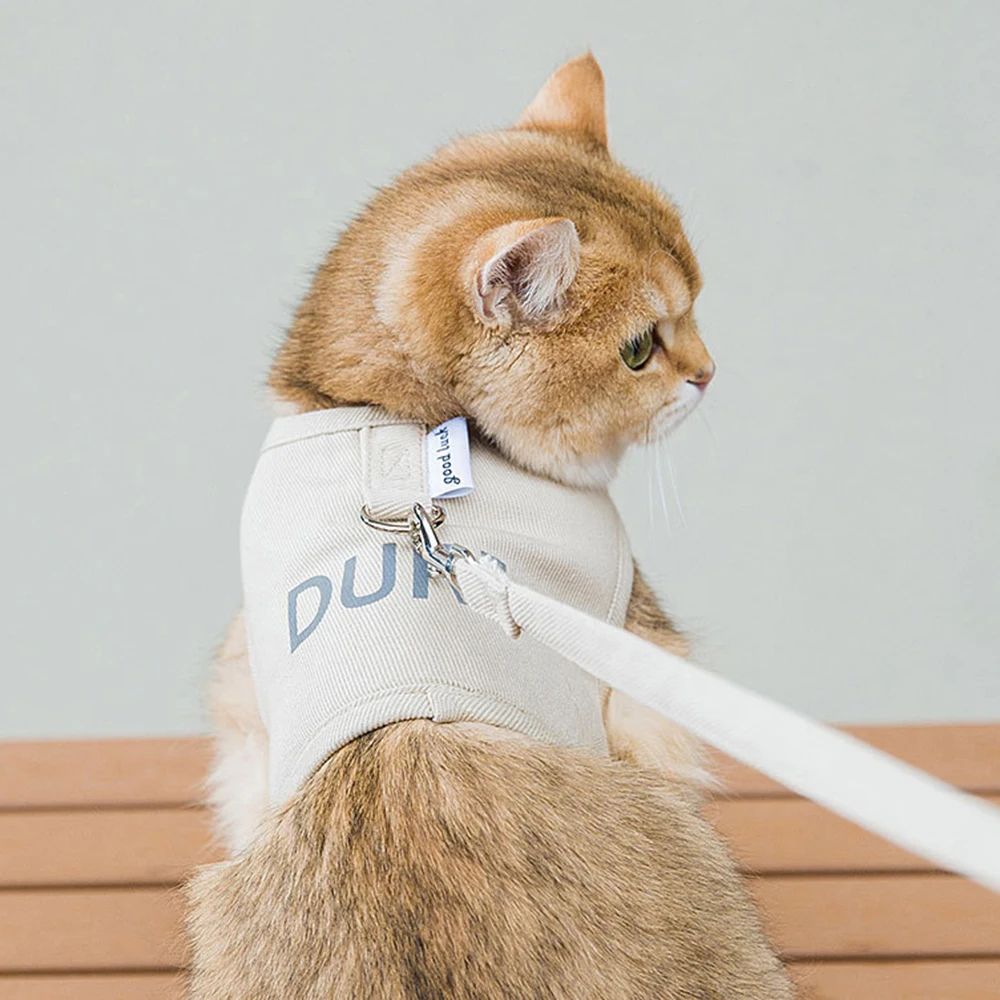 Arnés antirrotura y correa de paseo para gatos y perros - imagen 2