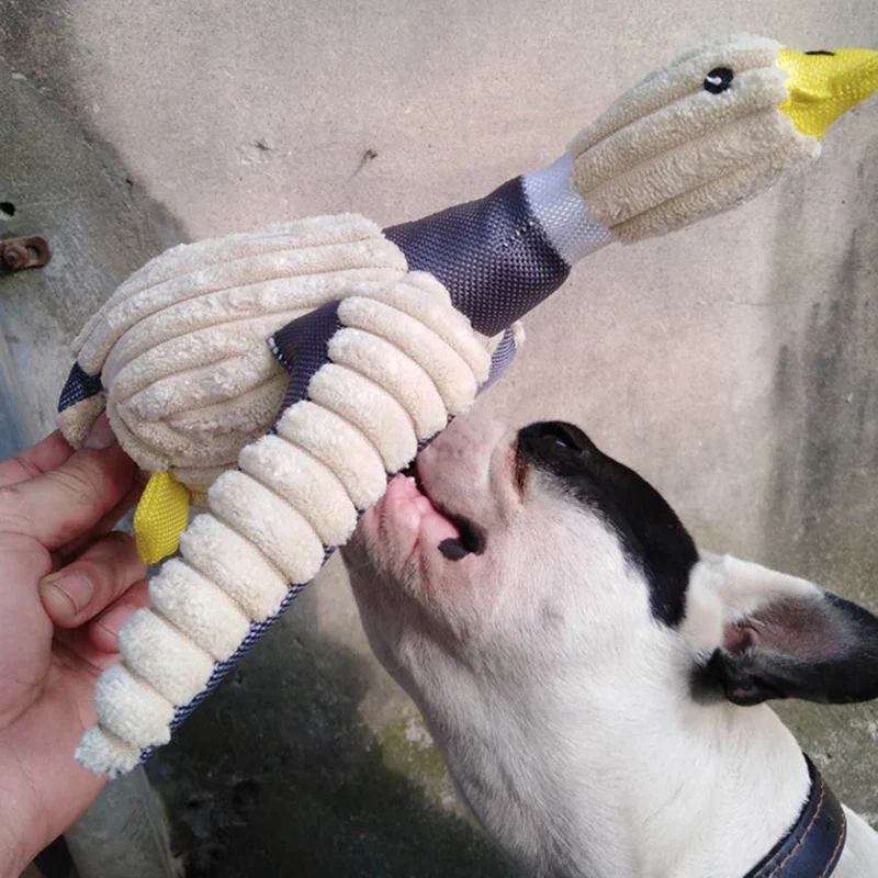 Patos y gansos en juego