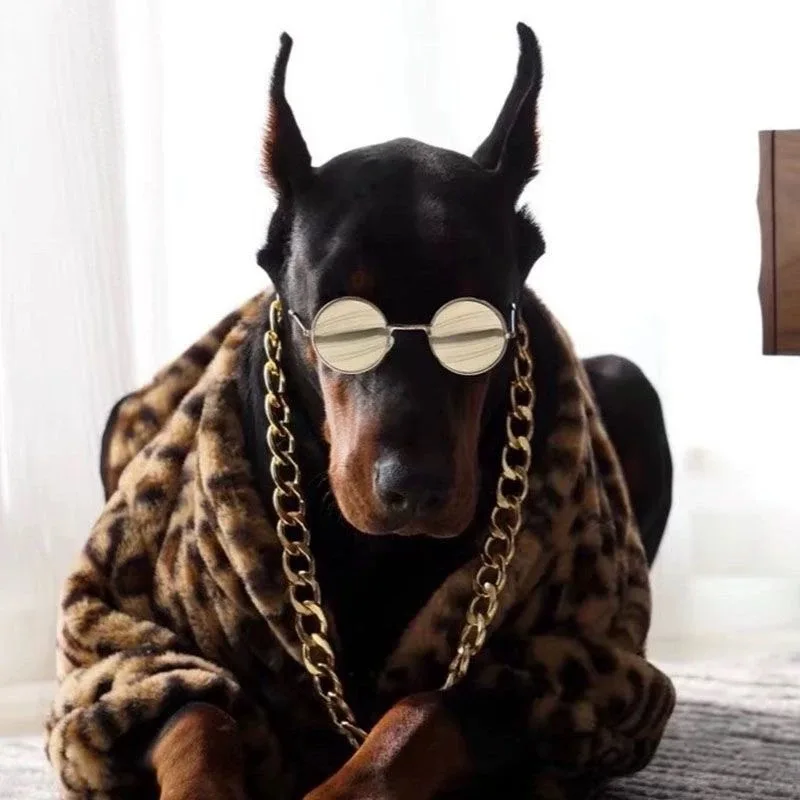 Perro usando la chaqueta de leopardo