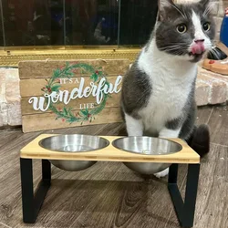 Comedero doble elevado inclinado para gatos y perros pequeños