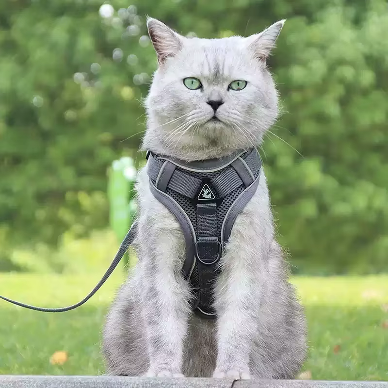 Arnés chaleco transpirable reflectante con correa para perros y gatos - imagen 3