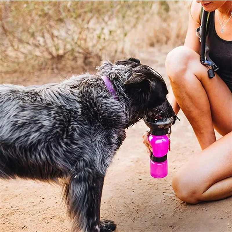 Accesorio de viaje para perros