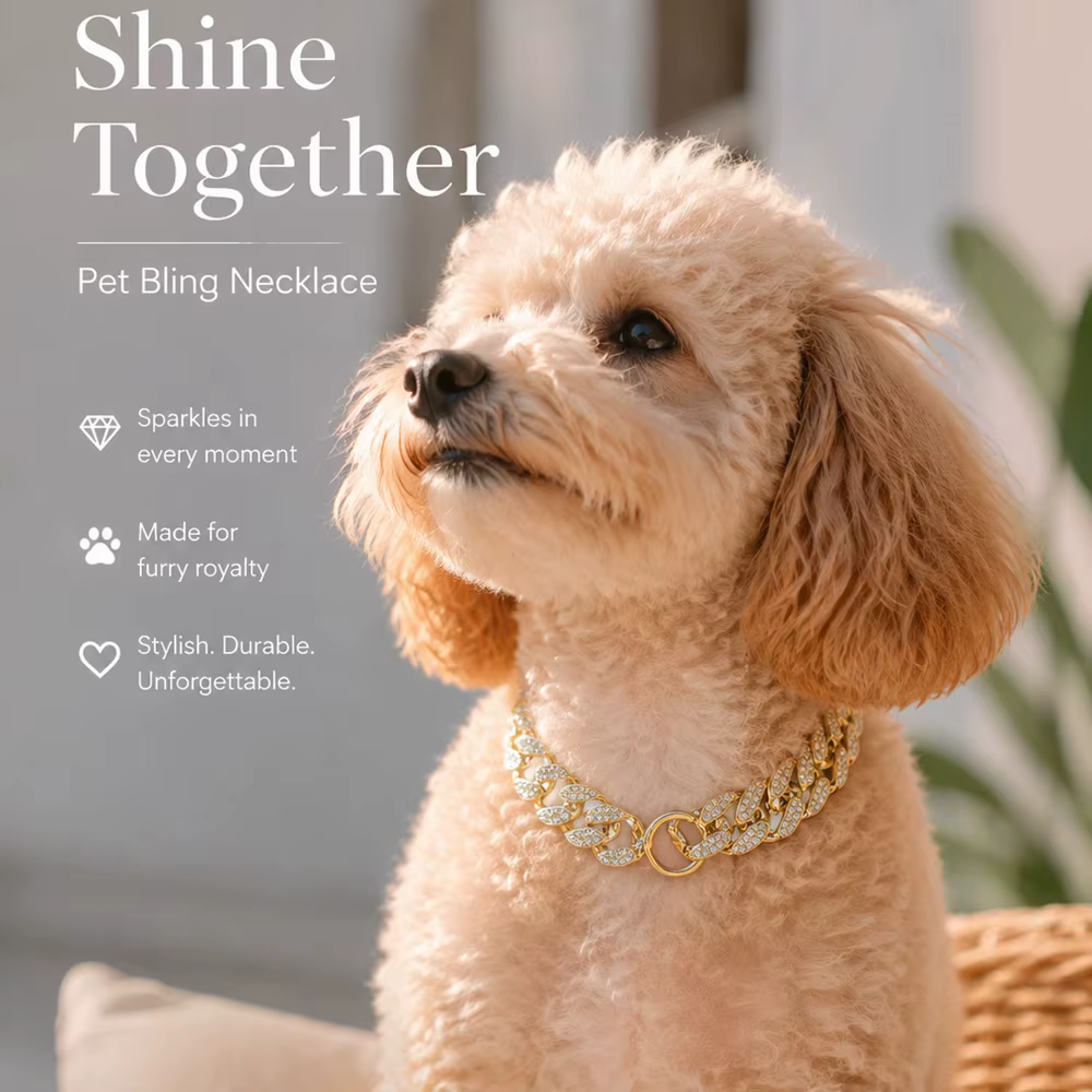 Collar de cadena elegante con pedrería para perros y gatos - imagen 3