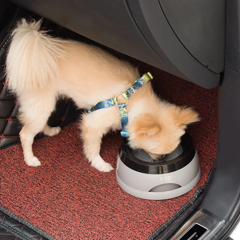 Bebedero flotante para perros y gatos – No moja el hocico - imagen 2