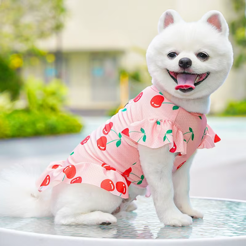 Vestido de verano con volantes, falda para perros Bichón y gatos - imagen 2