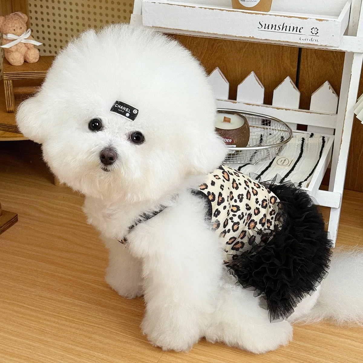Tabla de tallas del vestido teddy para cachorros