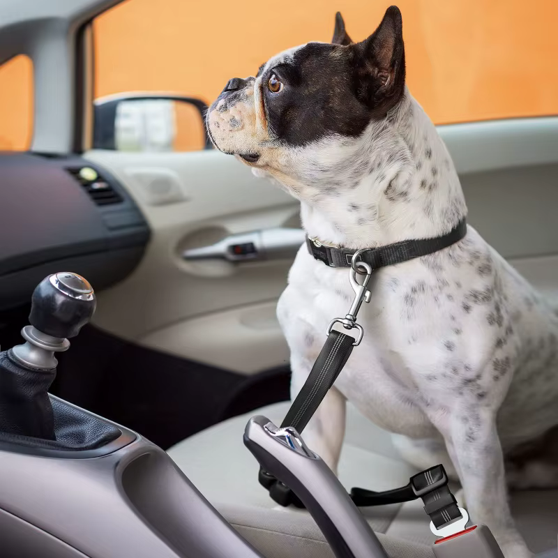 Arnés de seguridad para perros en coche – Reflectante y elástico - imagen 4