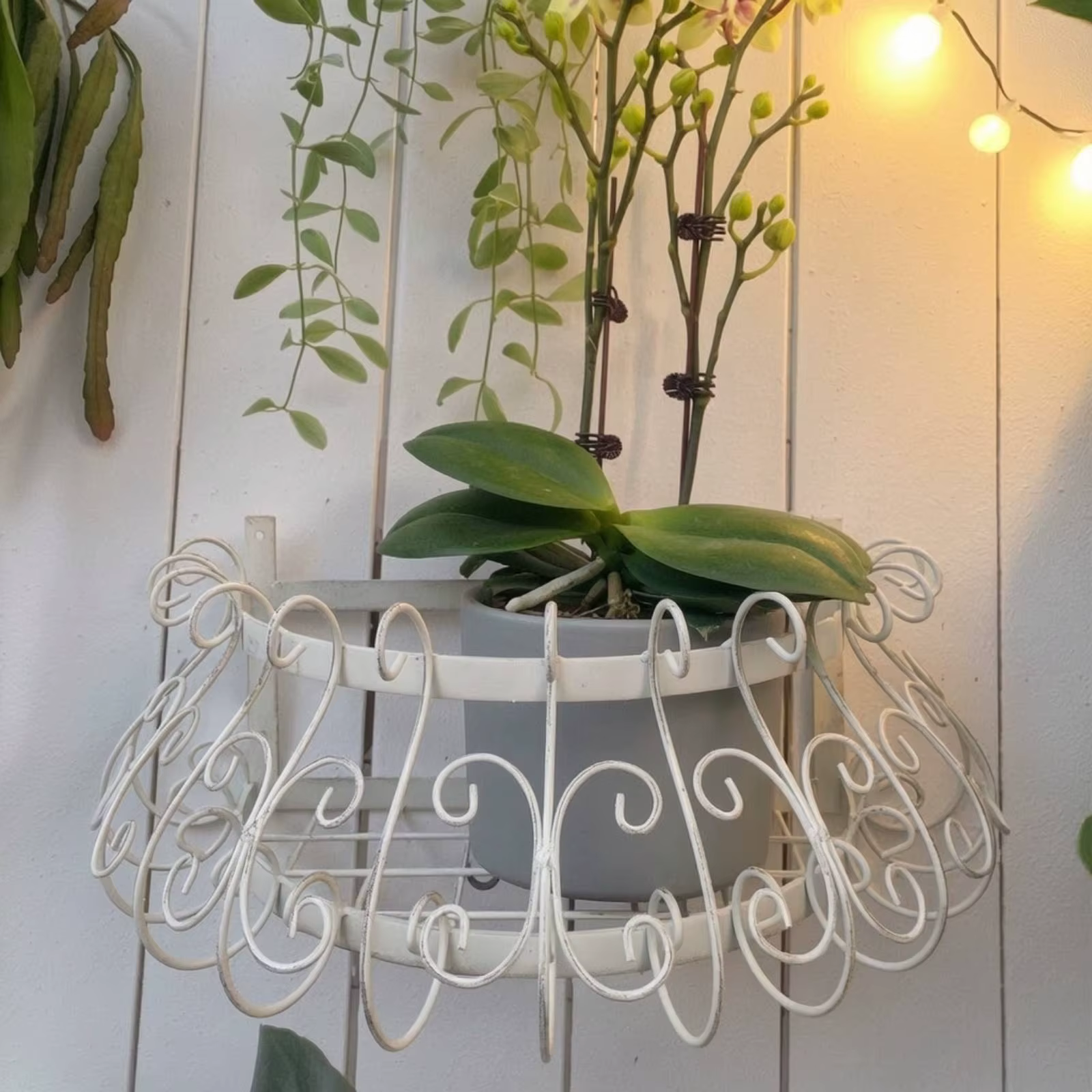 Soporte Metal Plantas con Rejilla – Estante Decorativo para Macetas - imagen 5