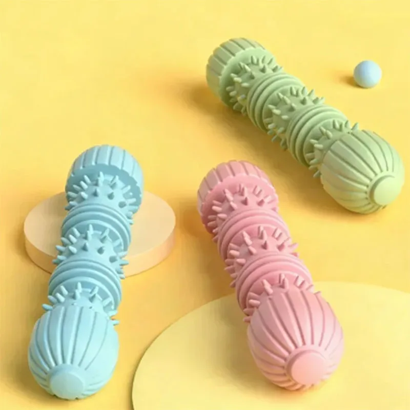 Rutina de juego y limpieza dental
