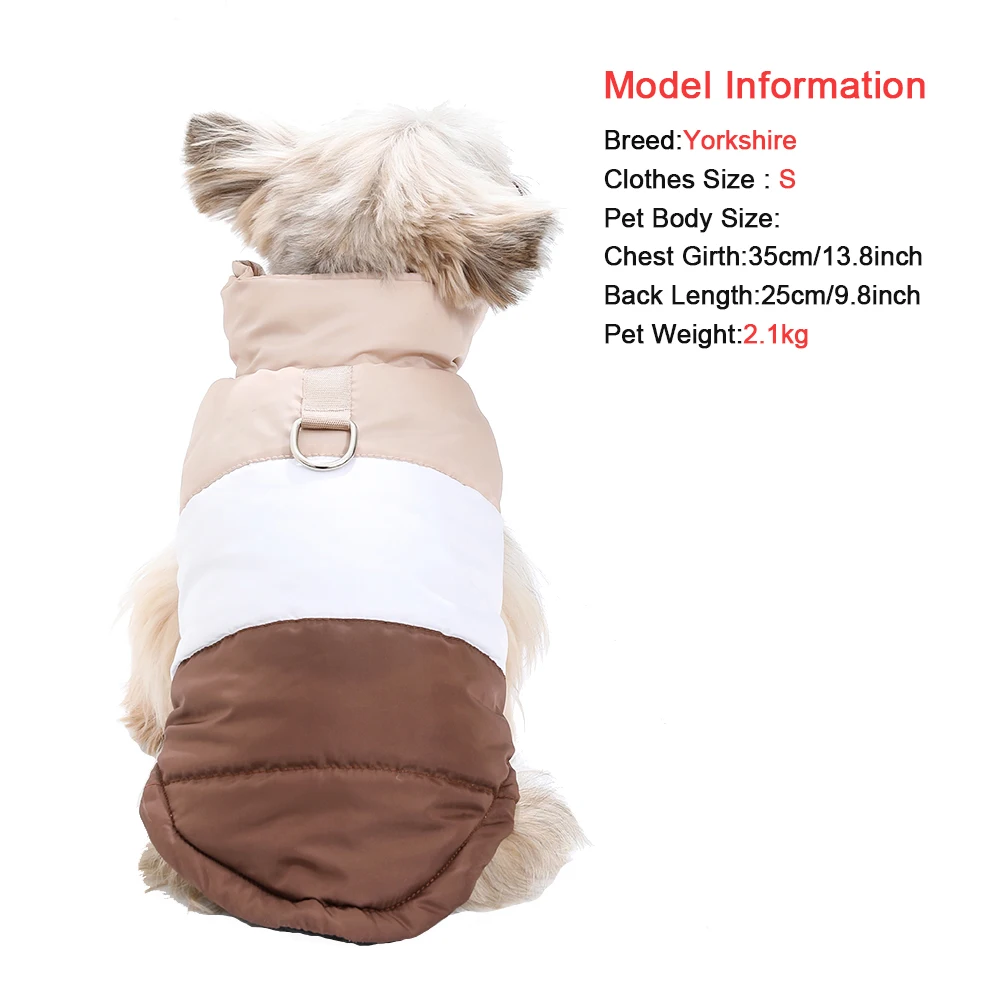 Chaqueta térmica en color azul para gato Sphynx