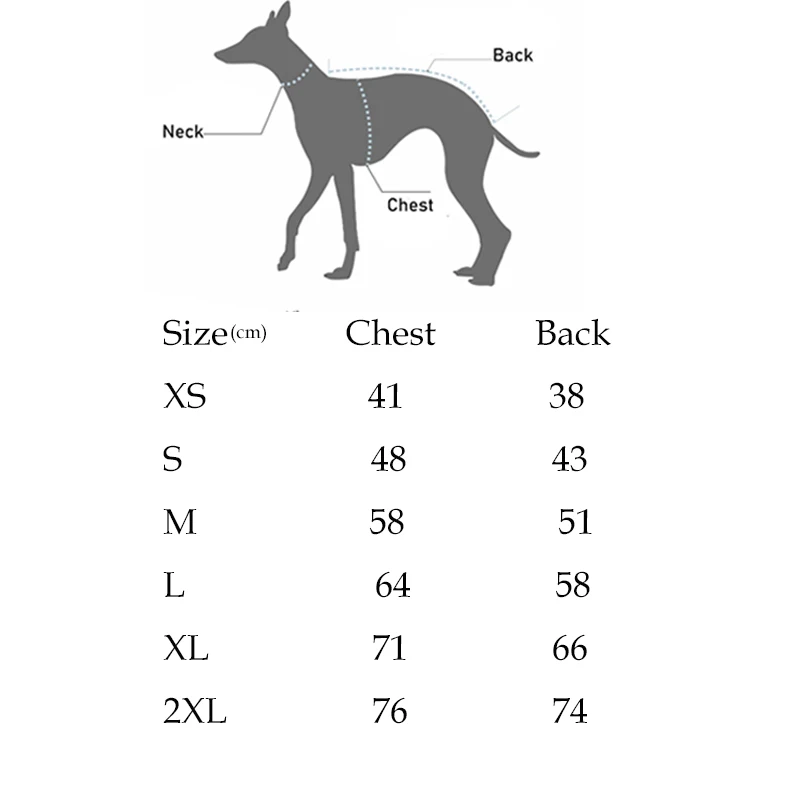 Suéter gris con rayas puesto a un whippet en interior