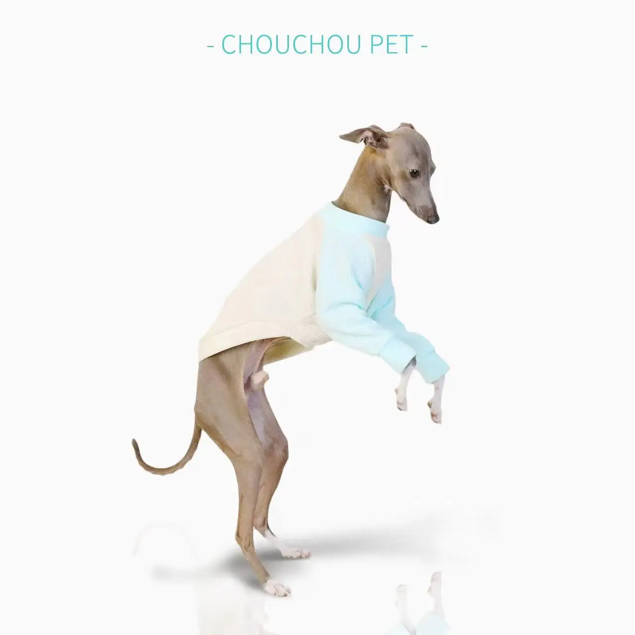 Ropa para perro mediano en diferentes colores