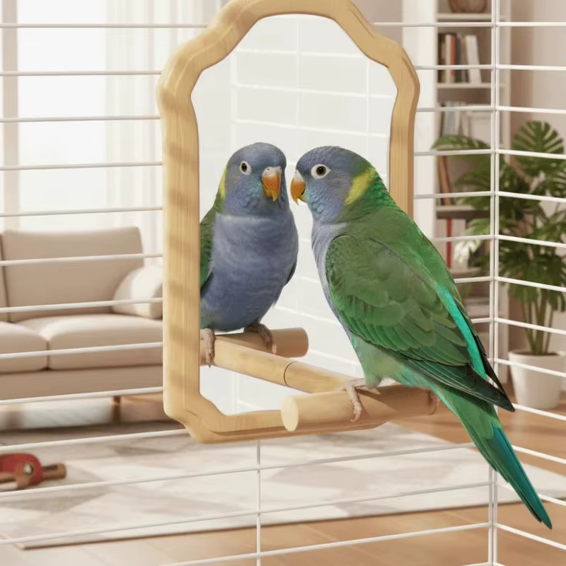 Juguete Espejo con Poseyedero para Aves Pequeñas – Interactivo y Resistente a Mordiscos - imagen 2