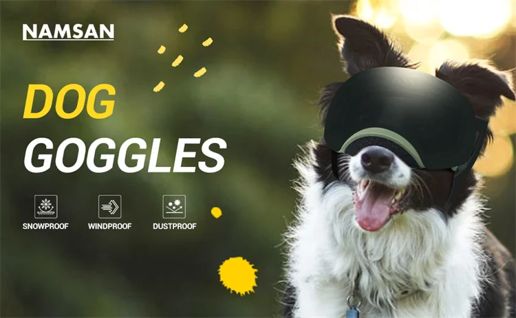 Gafas para perros en ruta