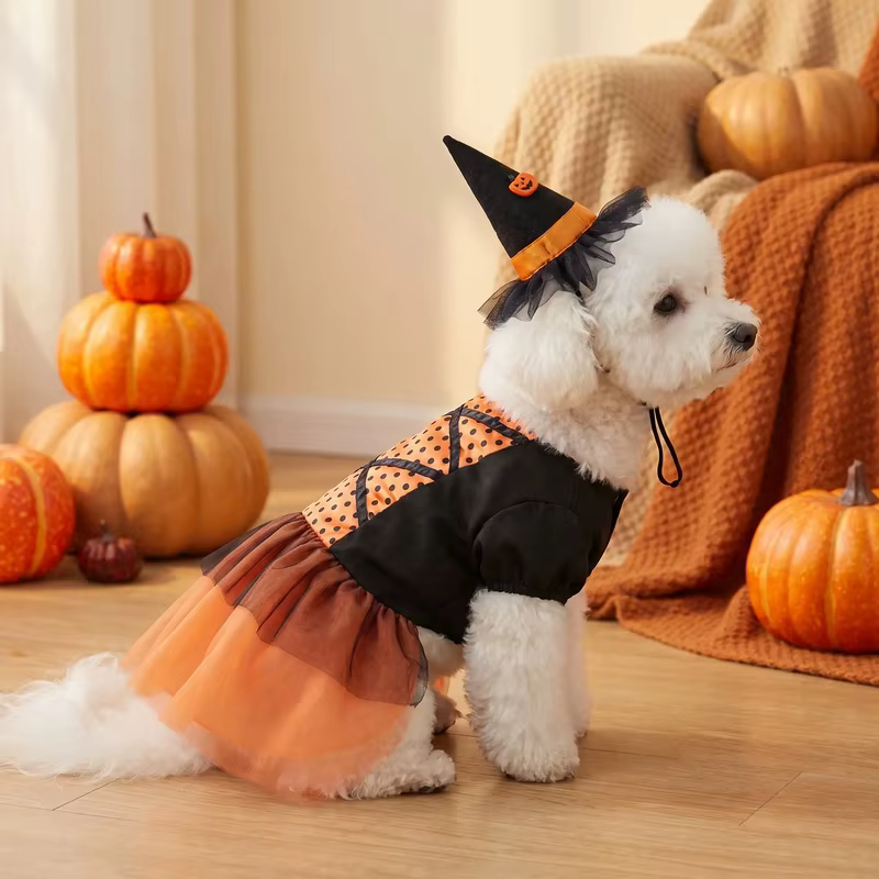 Disfraz de Bruja para Perro con Sombrero y Tutú – Atrezzo para Halloween - imagen 2