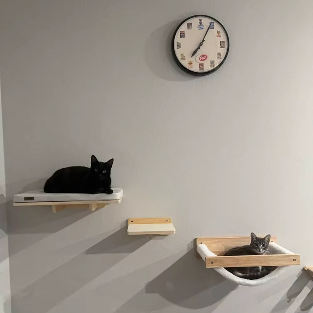 Escaleras conectadas para gatos