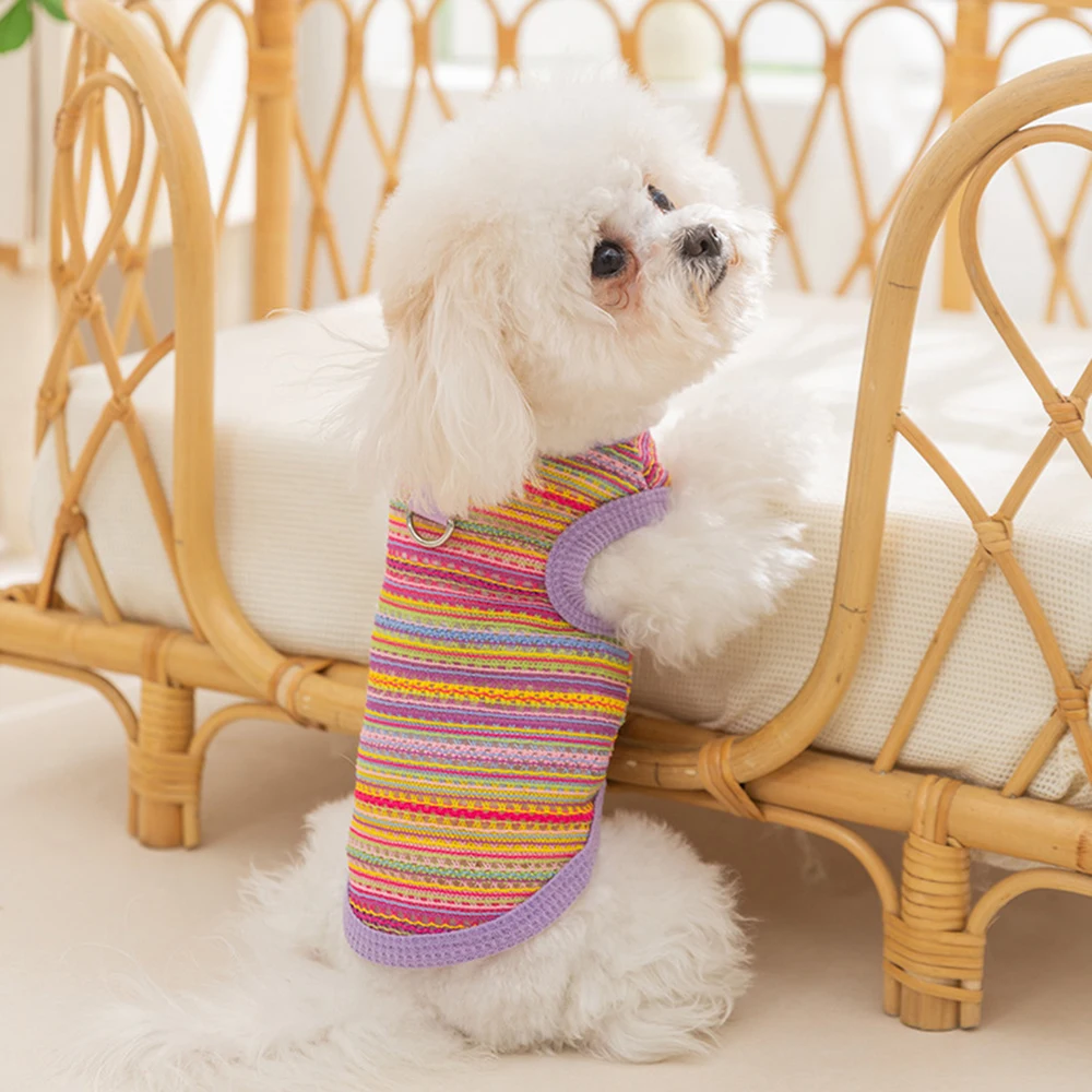 Chaleco transpirable de verano para perros y gatos Chihuahua - imagen 4