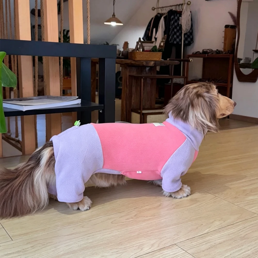 Sudadera abrigo invierno para perro dachshund salchicha cuello alto