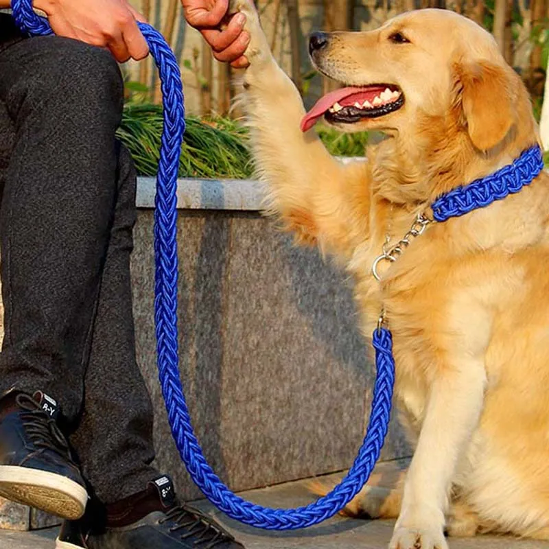 Correa resistente para perros con amortiguador de resorte de nailon - imagen 2