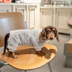 Abrigo polar invierno para perros teckel: sudadera cálida 4 pattes