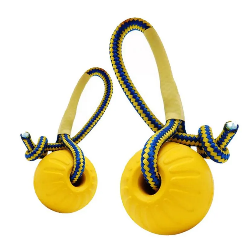 Juguete masticar perros interactivo