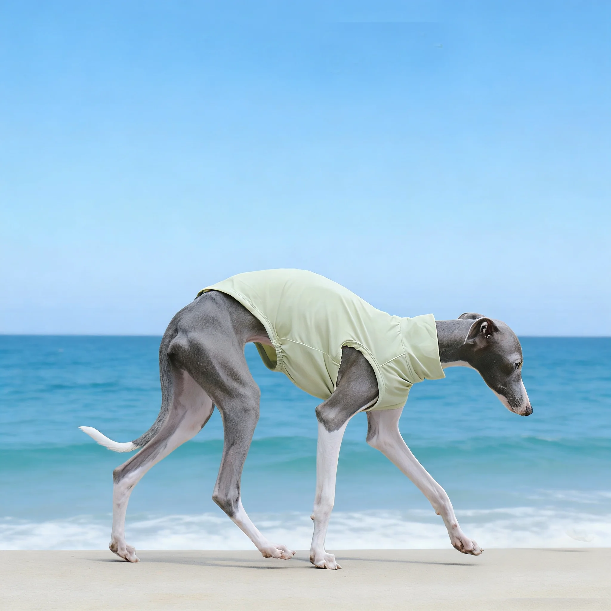 Camiseta delgada para perro de caza