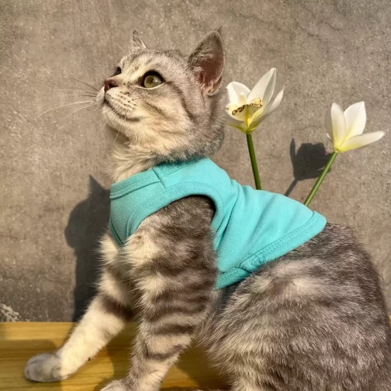 Jersey polar para perros pequeños y gatos – Chaleco cálido Chihuahua - imagen 2