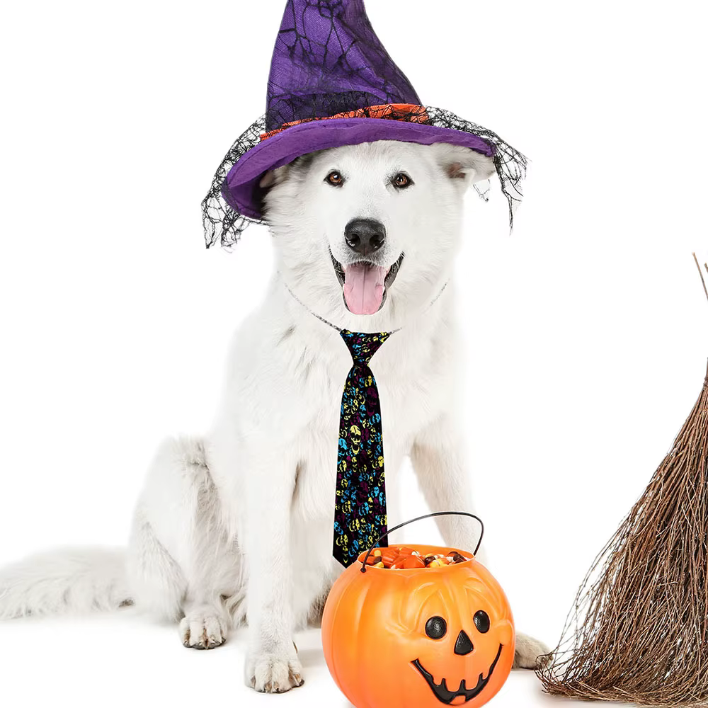 Lazos grandes para perros Halloween – corbatas ajustables de fiesta - imagen 2