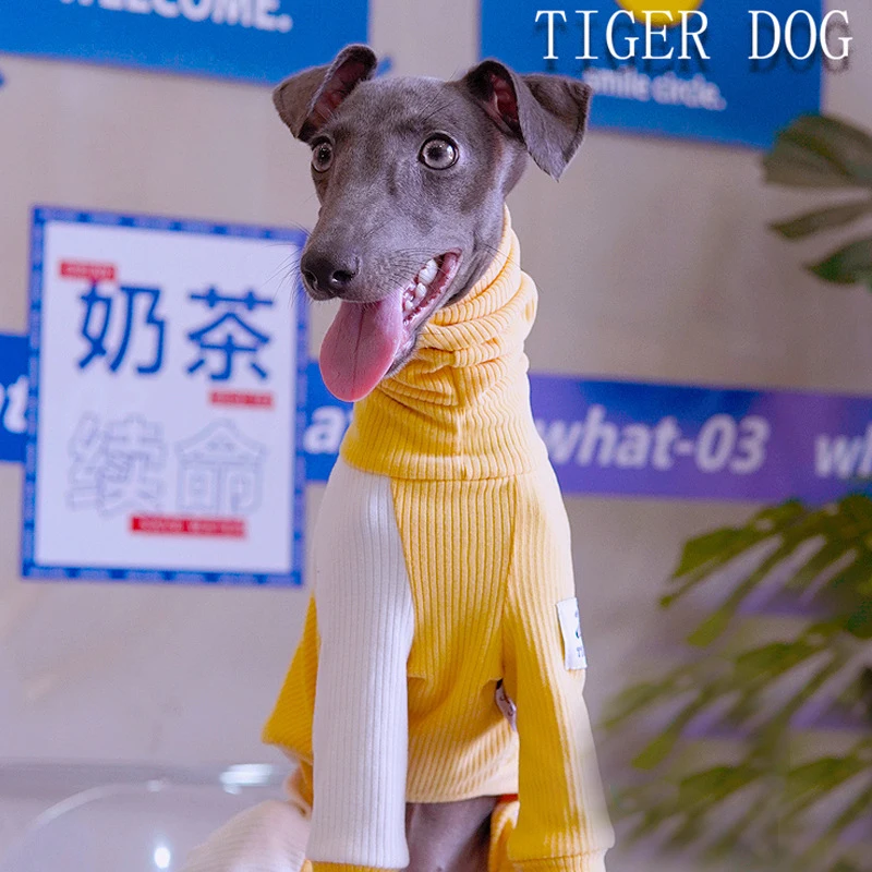 Abrigo térmico para perros vista frontal
