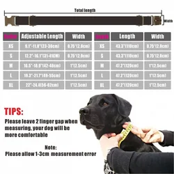 Collar y correa antipérdida para perro ajustable personalizado