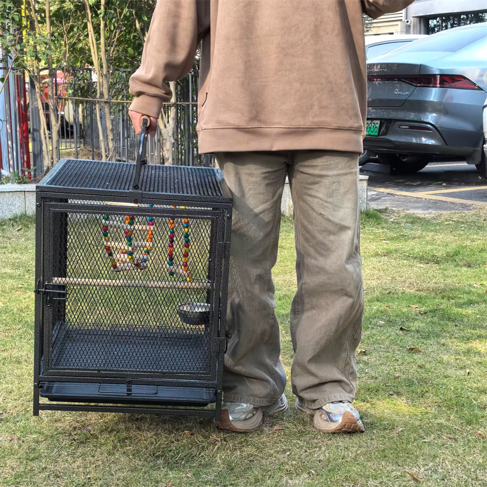 Jaula de Viaje para Aves – Hierro Forjado con Percha de Madera - imagen 5