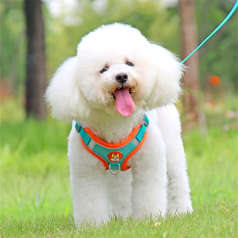Arnés reflectante antitirones ajustable para perros y gatos – Pecho