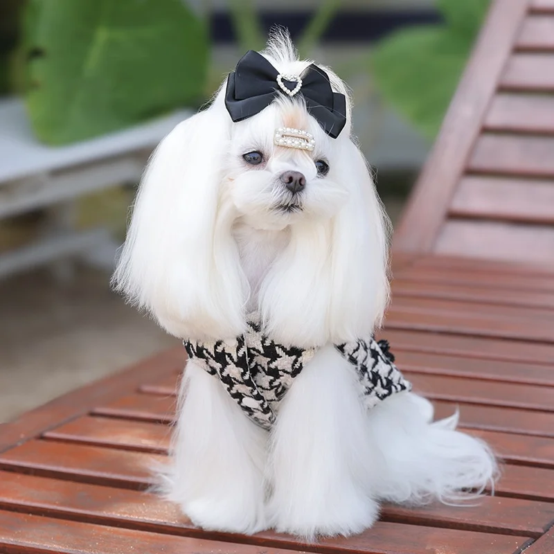 Perro con vestido formal en evento
