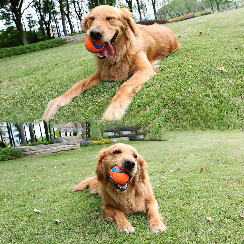 Pelota mordedora de caucho natural para perros y cachorros - imagen 2